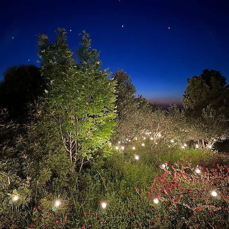 Hotel Glamping San Bart San Vincenzo Exteriér fotografie