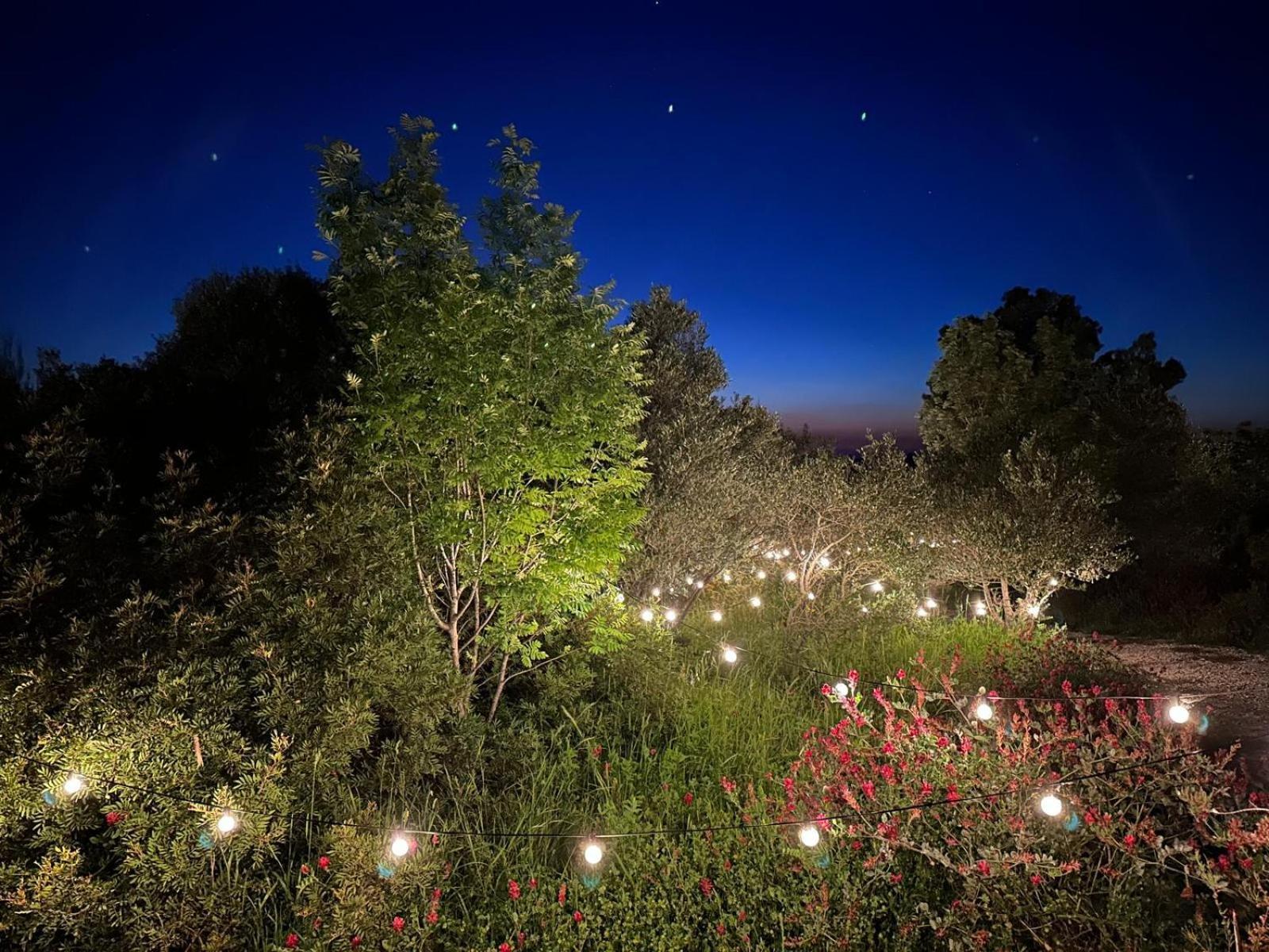 Hotel Glamping San Bart San Vincenzo Exteriér fotografie